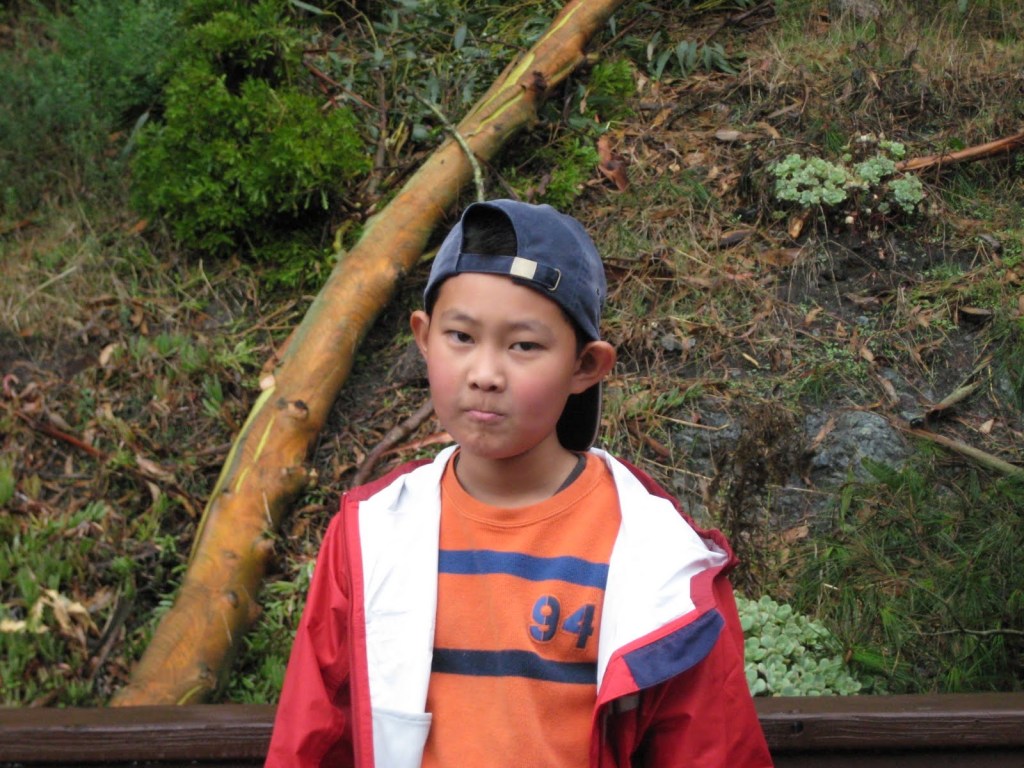 this photo was taken after a heavy rainstorm that knocked one of our eucalyptus trees in the backyard down and broke a fence.